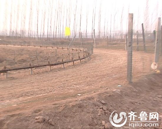 圖片 查處 楊洪亮
